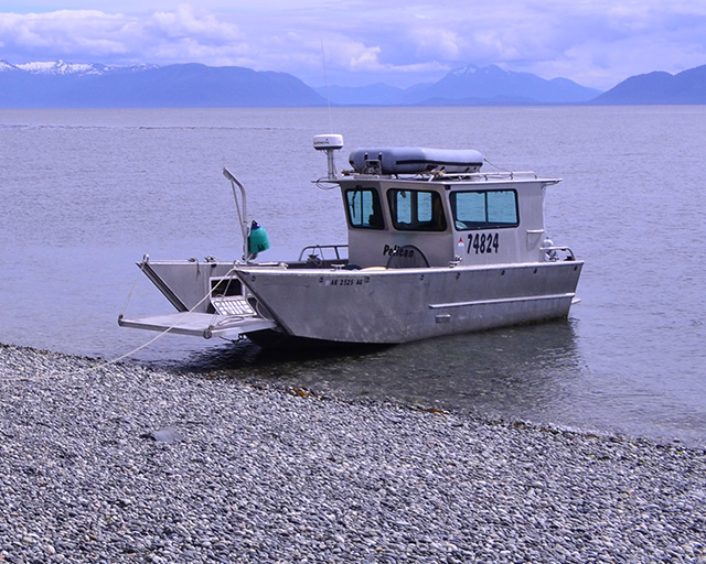 whale watching tours anchorage alaska