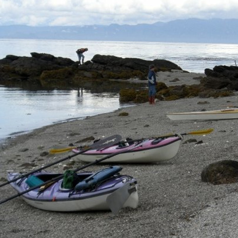 whale watching tours anchorage alaska